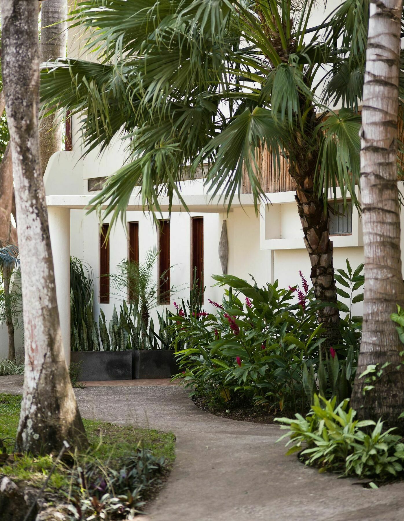 Tierra Magnifica Boutique Hotel 诺萨拉 外观 照片